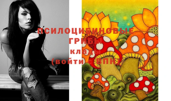 индика Навашино