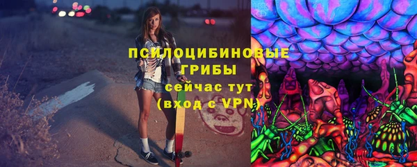 индика Навашино
