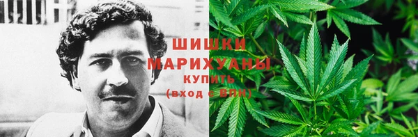 мдпв Надым
