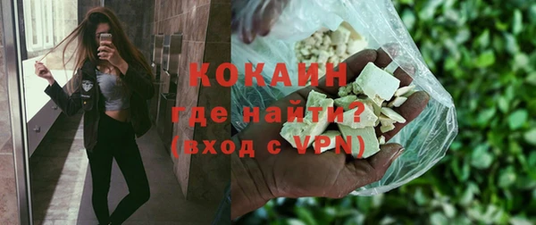 индика Наволоки
