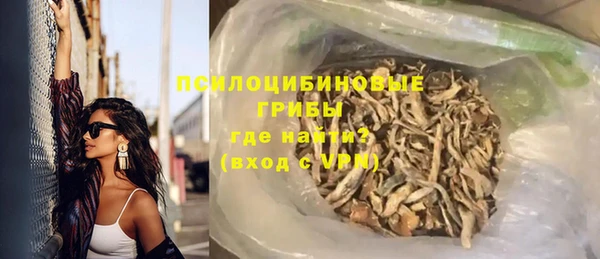 индика Наволоки