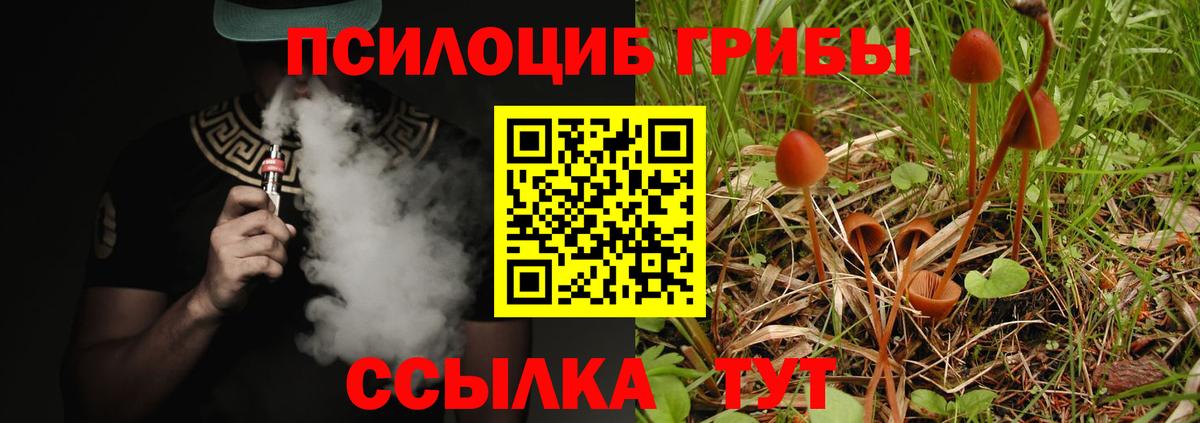 Псилоцибиновые грибы Magic Shrooms Улан-Удэ