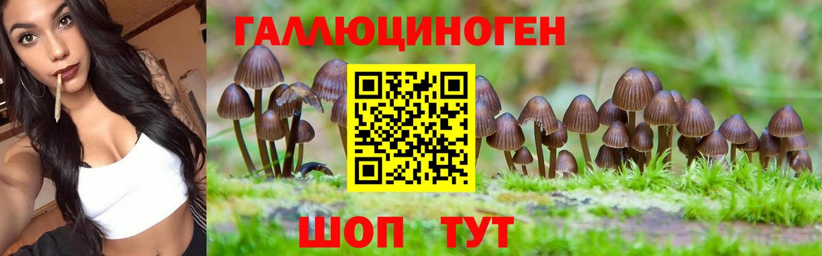 Галлюциногенные грибы мицелий  Вход с VPN  Улан-Удэ 